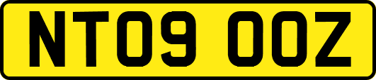 NT09OOZ