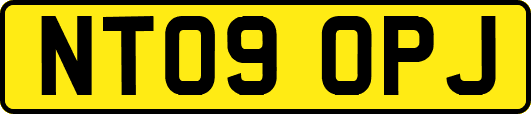 NT09OPJ