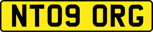 NT09ORG