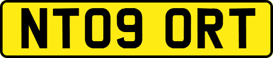 NT09ORT