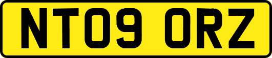 NT09ORZ