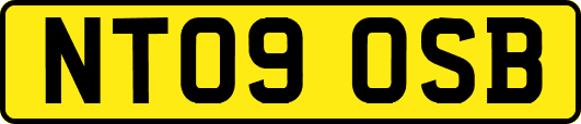 NT09OSB