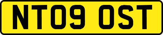 NT09OST