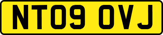 NT09OVJ