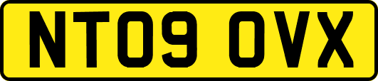 NT09OVX