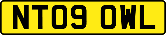 NT09OWL