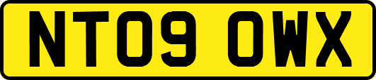 NT09OWX