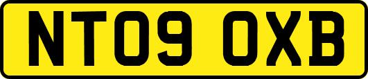NT09OXB
