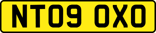 NT09OXO