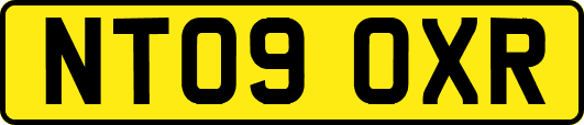 NT09OXR