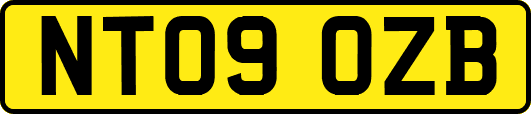 NT09OZB