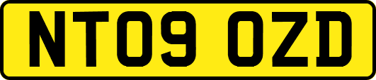 NT09OZD
