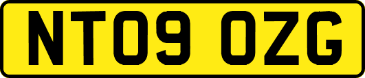 NT09OZG