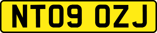 NT09OZJ
