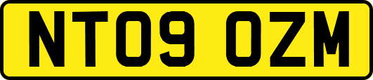 NT09OZM