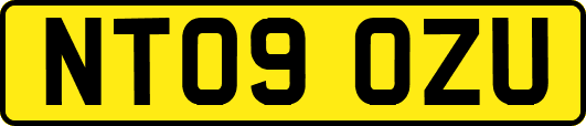 NT09OZU