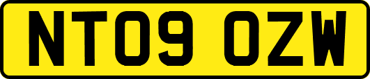 NT09OZW