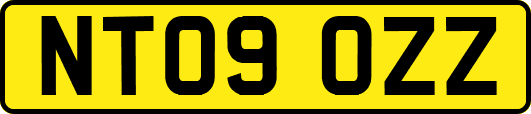 NT09OZZ