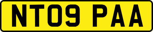 NT09PAA