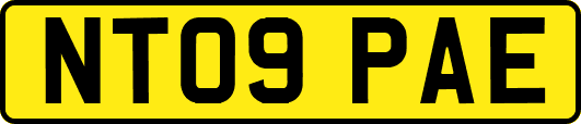 NT09PAE