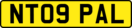 NT09PAL