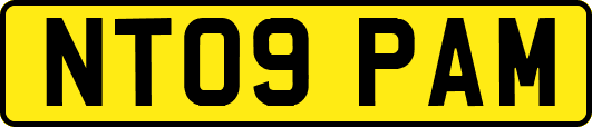 NT09PAM