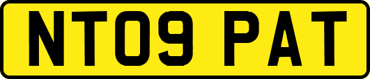 NT09PAT