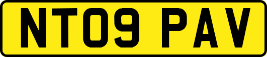 NT09PAV