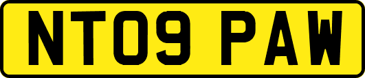 NT09PAW