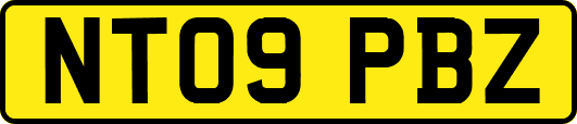 NT09PBZ