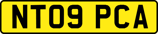 NT09PCA