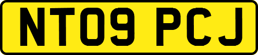 NT09PCJ