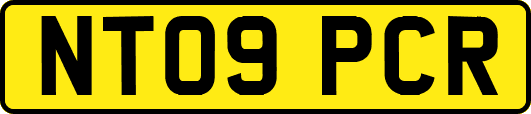 NT09PCR