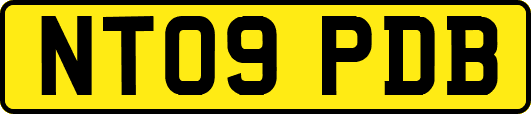 NT09PDB