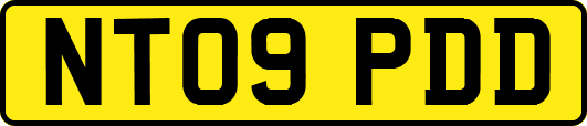 NT09PDD
