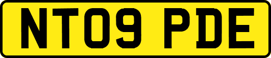NT09PDE