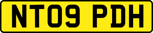 NT09PDH