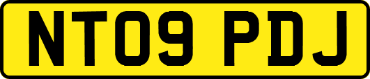 NT09PDJ