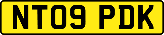 NT09PDK