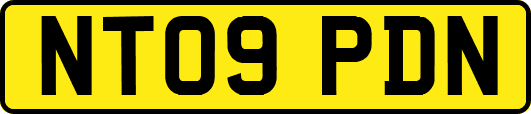 NT09PDN