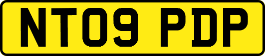 NT09PDP