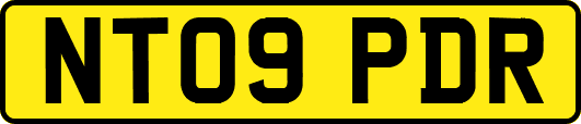 NT09PDR