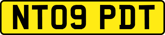 NT09PDT