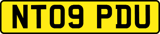 NT09PDU