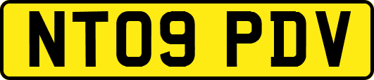 NT09PDV