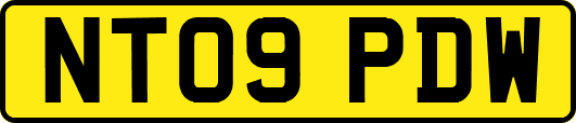 NT09PDW