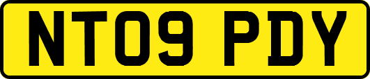NT09PDY