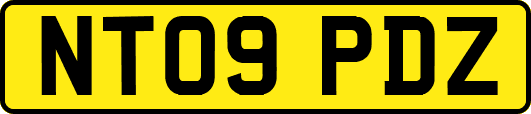NT09PDZ