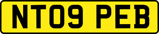 NT09PEB