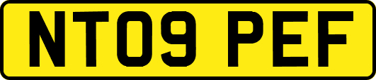 NT09PEF